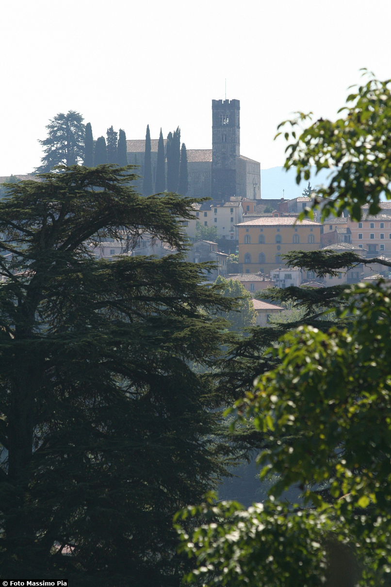 Duomo di Barga - Centro Storico - Vista da I Cedri 